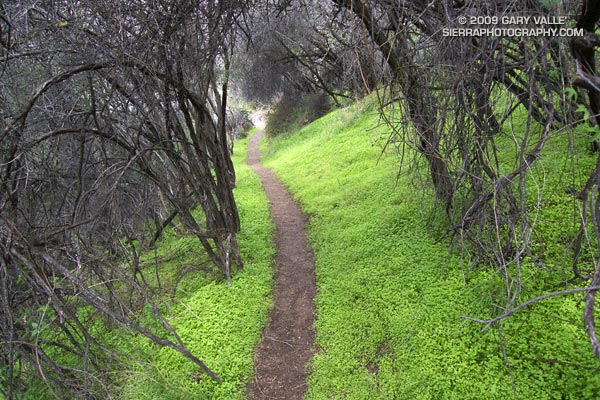 Garapito Trail in Topanga State Park.