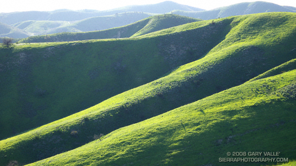 Study of green hills at Ahmanson Ranch following the Winter rains of 2007-2008.