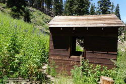 Pumphouse at Guffy Spring, surrounded by giant larkspur.