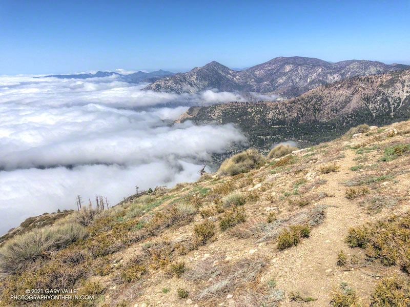 Twin Peaks and Mt. Waterman from the Hawkins Ridge Trail on South Mt. Hawkins