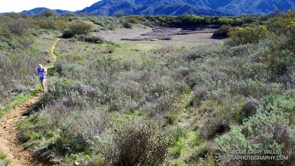 A trail runner on the Hidden Pond Trail in Pt. Mugu State Park.