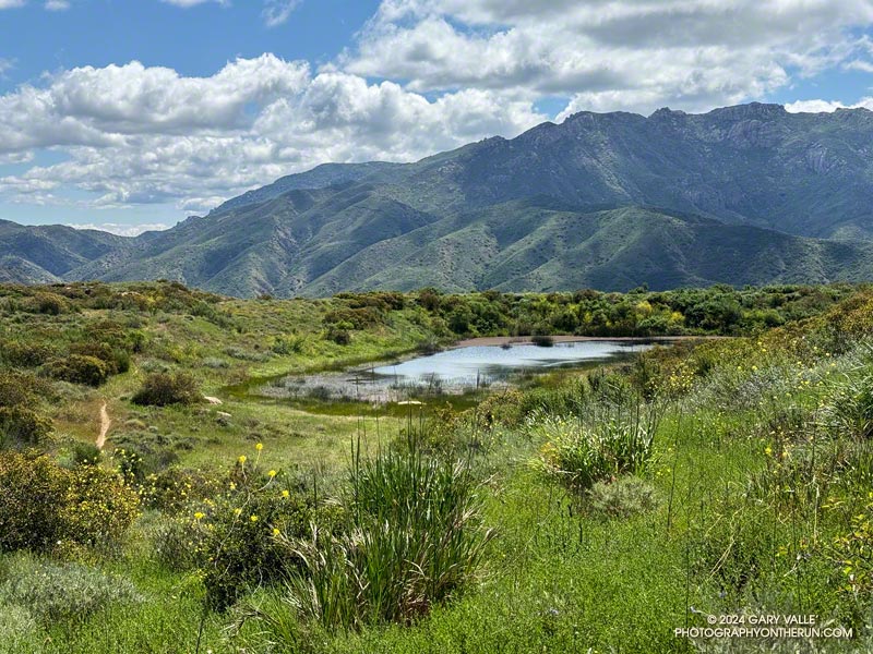 Hidden Pond from the Hidden Pond Trail in Point Mugu State Park. Photography by Gary Valle'.