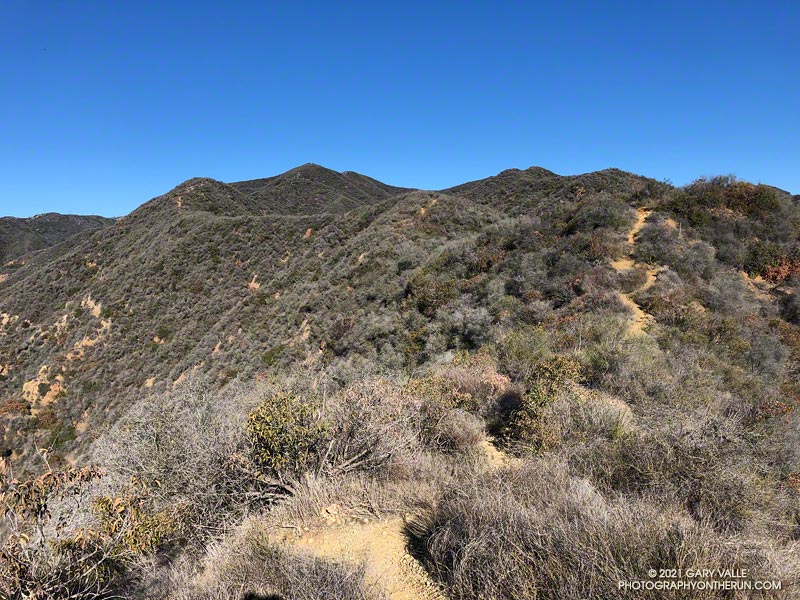 Goat Peak and the High Point Trail