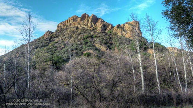 Hogback and sycamores near the M*A*S*H site in Malibu Creek State Park