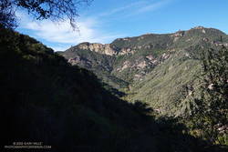 Hondo Canyon from the Backbone Trail in the Santa Monica Mountains.