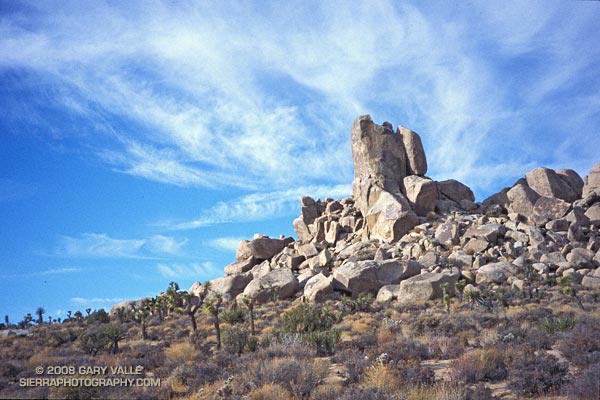 Exploring Joshua Tree: The Galapagos