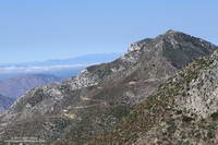 Josephine Peak and fire road from the Gabrielino Trail. 