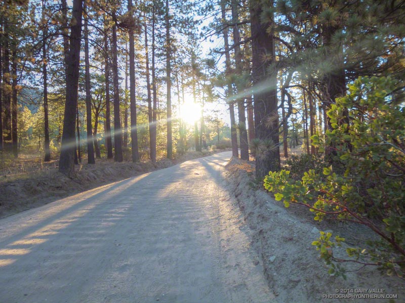 Sunrise at Mile 10 of the 2014 Kodiak 50M.