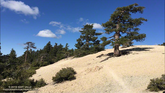 Pacific Crest Trail on Kratka Ridge in the San Gabriel Mountains