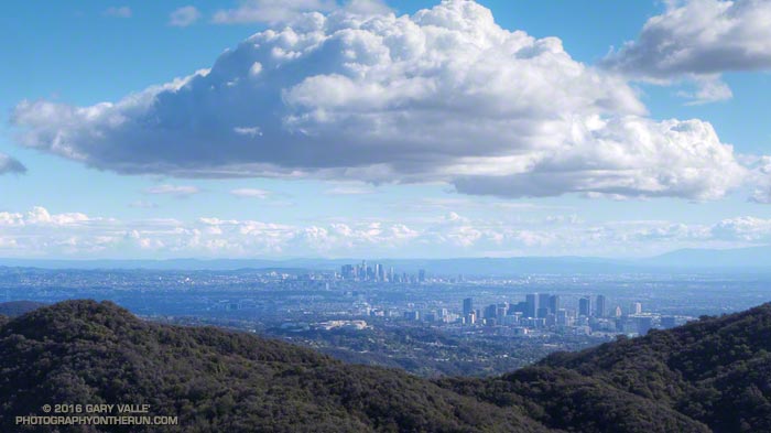 Century City and Downtown Los Angeles