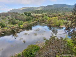 La Jolla Loop pond in La Jolla Valley in Pt. Mugu State Park.