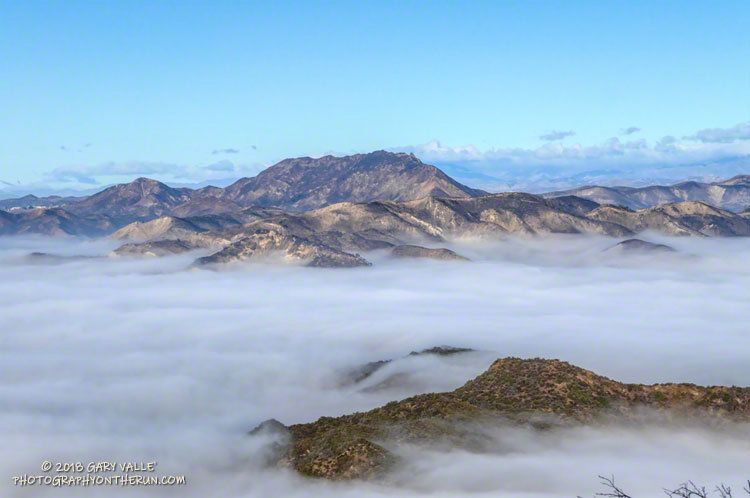 Ladyface, a peak in Agoura Hills, stands above a sea of fog filling the low areas of Malibu Creek State Park.