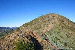 East/Southeast ridge of Ladyface mountain.
