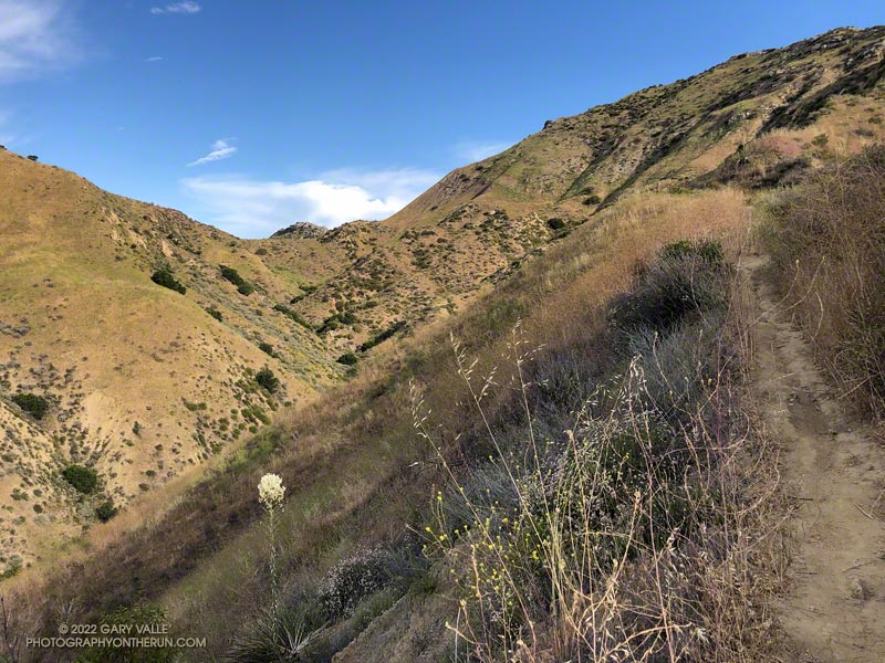 Working up toward a pass on a use trail that connects Las Llajas and Chivo Canyons. A side trail goes to a grit mine on top of the formation on the right side of the photo.