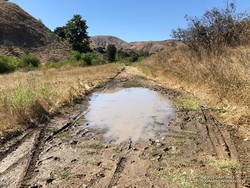 A little mud in Las Virgenes Canyon after Tropical Storm Hilary. August 22, 2023.