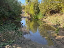 Pool on Las Virgenes Creek on September 17, 2024, five days after 4.7 Malibu earthquake.