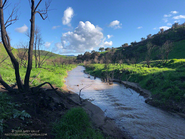 Upper Las Virgenes Creek on March 7, 2019, following the Woolsey Fire and frequent Winter rain.