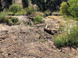 Dry streambed of Las Virgenes Creek, north of the Las Virgenes Trailhead, on August 22, 2023, after Tropical Storm Hilary