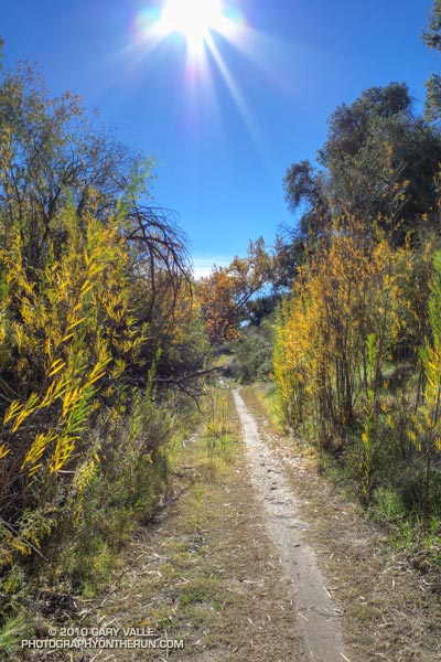 Upper Las Virgenes Canyon