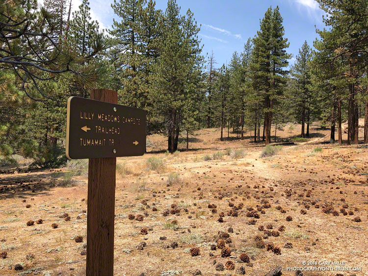 The North Fork Trail at Lily Meadows Camp. The North Fork Lockwood Creek was dry. July 28, 2018.