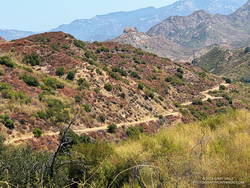 A section of Bulldog Mtwy low on the climb.