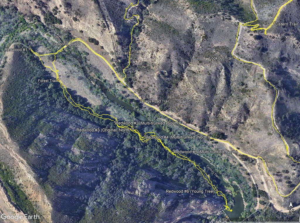 Google Earth image of the locations of the six remaining coast redwoods on or near the Forest Trail in Malibu Creek State Park.