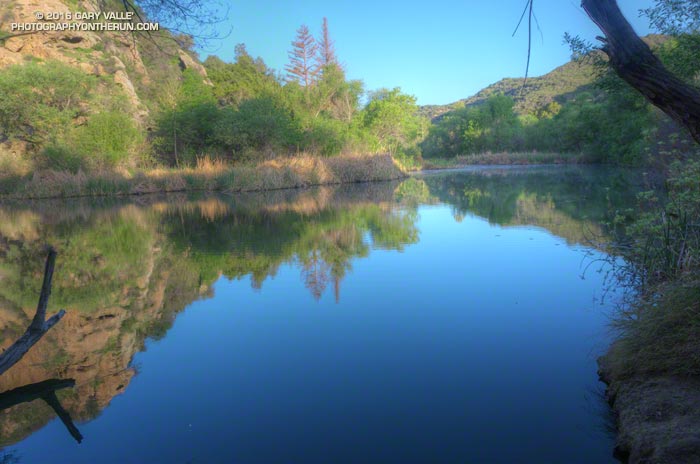 Century Lake, Malibu Creek State Park. March 26, 2016.