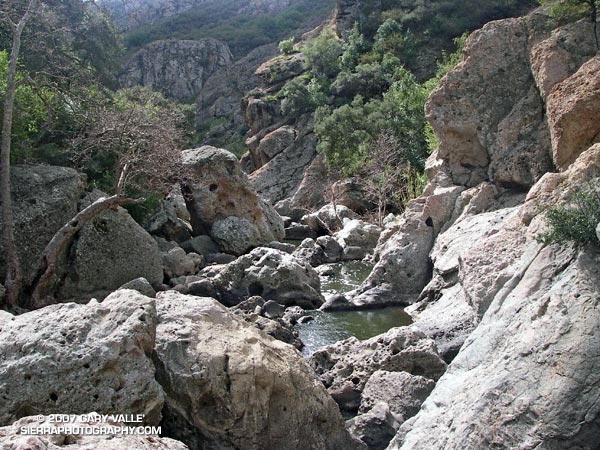 A dramatic gorge of volcanic rock sculpted by Malibu Creek.