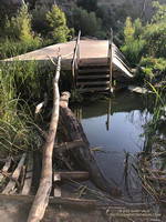 Log crossing across Malibu Creek on the Crags Road Trail, near the Forest Trail junction.