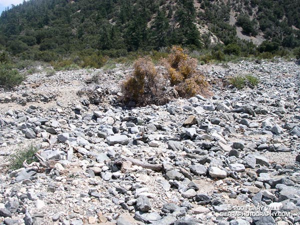 Boulder strewn wash on the Manzanita Trail. These rocks have been pushed down the wash by flash floods and debris flows.