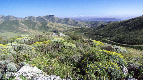 View toward San Francisco from the Miwok Trail in the Marin Headlands.