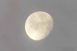 Handheld snapshot of the Moon, using a Lumix ZS100
