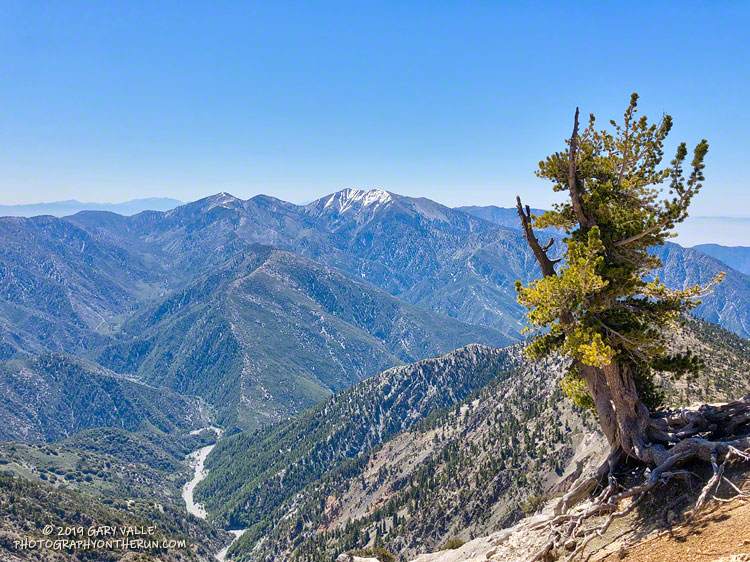 Mine Gulch and Mt. Baldy from Mt. Baden-Powell on June 8, 2019.