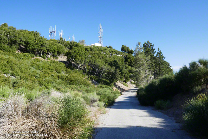 The route follows the Mt. Disappointment service road for about a quarter-mile, then turns right onto the Lower San Gabriel Peak/Bill Reilly Trail. The high point of the course is along this stretch of road.