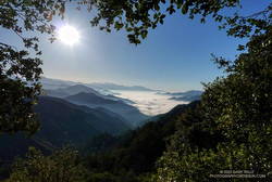 Early morning view from the Bill Reily Trail (aka Mt. Disappointment Trail).