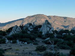 Mt. Pacifico (7124') from low on the Three Points - Mt. Waterman Trail.