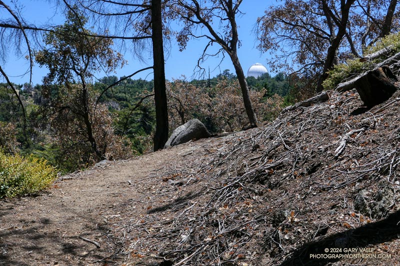 The white dome of Mt. Wilson Observatory from near the top of the Kenyon Devore Trail.