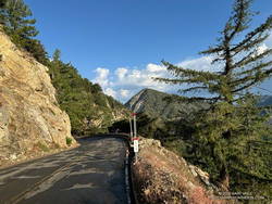 Running down still wet Mt. Wilson Road following a morning thunderstorm. (thumbnail)