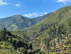 The towers on Mt. Wilson -- where the car is parked -- from Rincon-Redbox Road. (thumbnail)