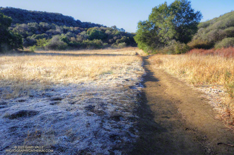 Frost along the Backbone Trail at Musch Meadow