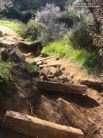 Section of the Musch Trail damaged in January 2023 rainstorms.