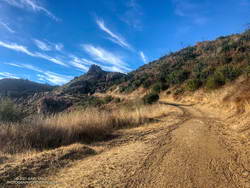 A quarter-mile from the top of Bulldog Mtwy fire road in Malibu Creek State Park.