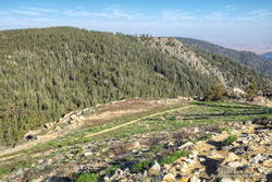 Starting down the Vincent Tumamait Trail, near the Condor Observation Site on Mt. Pinos.