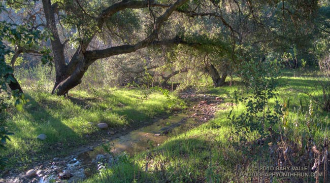 Upper Las Virgenes Creek