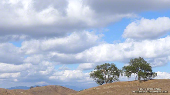 Oaks and clouds Upper Las Virgenes Canyon Open Space Preserve