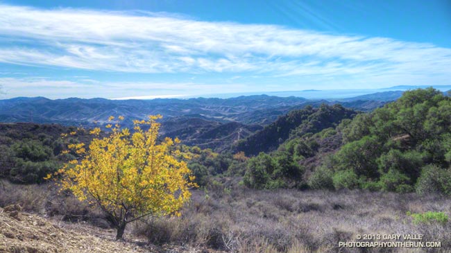 View to the ocean from Sulfur Mountain Road Recreation Trail