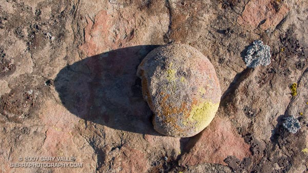 Abstract photograph of lichen on a spherical, sandstone concretion.