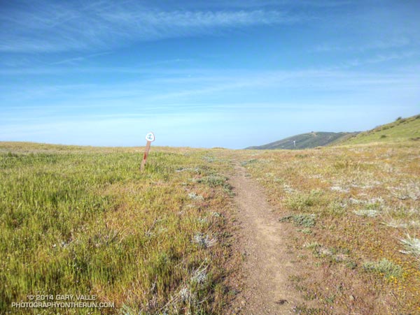 PCT on Sierra Pelona Ridge