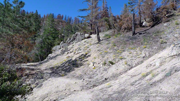 Pacific Crest Trail about a mile east of Three Points, following the Station Fire. Photo is from a trail run on June 27.2010.