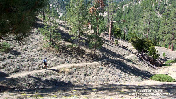 Dave Burke cruising down a nice section of the PCT between Cloudburst Summit and Cooper Canyon.